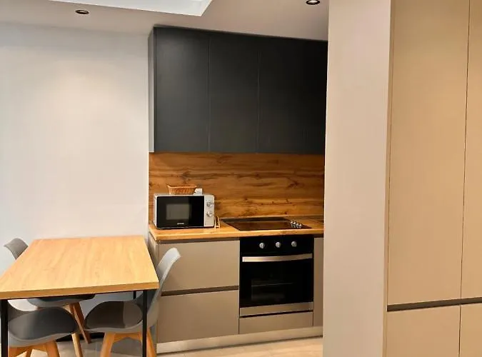 Erg 公寓 地拉那