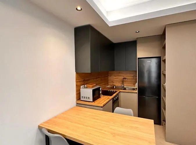 Erg 公寓 地拉那